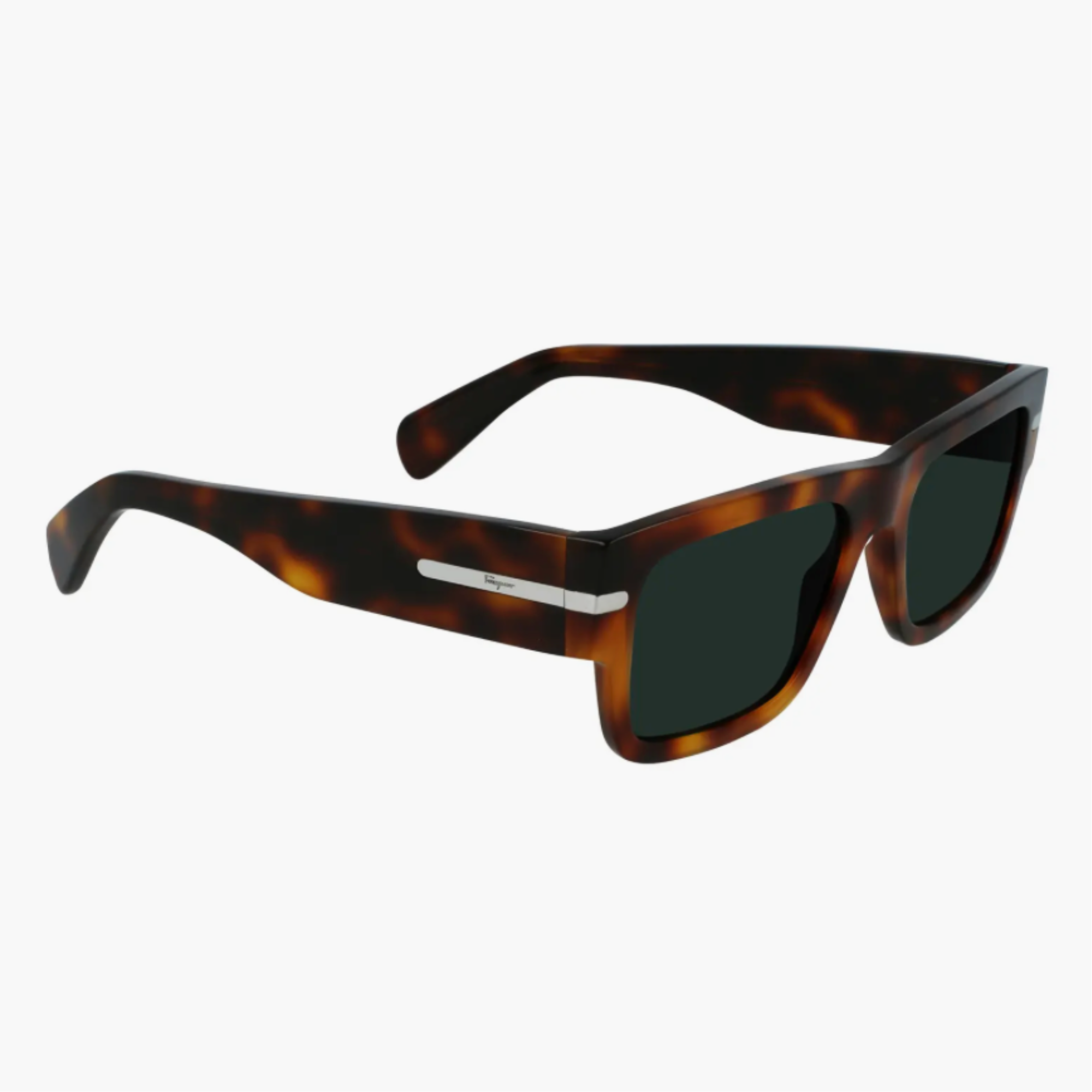 Anteojos Salvatore Ferragamo